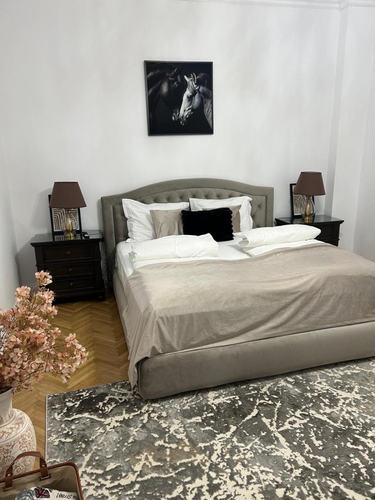 Rennes Apartment سيبيو المظهر الخارجي الصورة